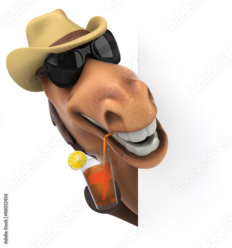 Fototapeta Naklejka Na Ścianę i Meble -  Fun horse