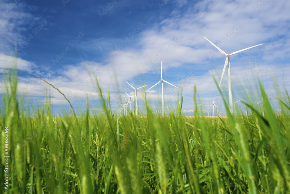 Obraz premium Wind energy