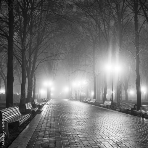 The avenue of autumn city park at night. Black and white.