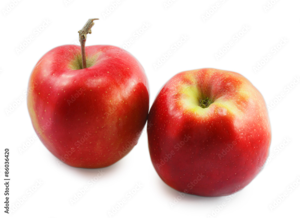two red apples isolated on white background two red apples isolated on white background