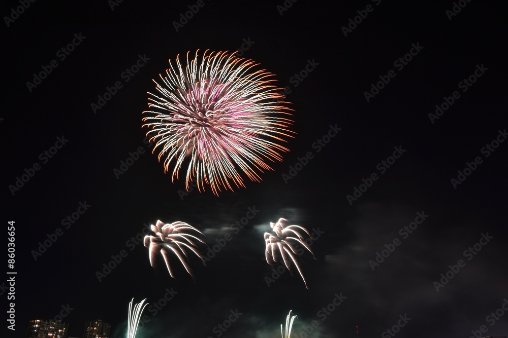 花火の祭典(東京都大田区)