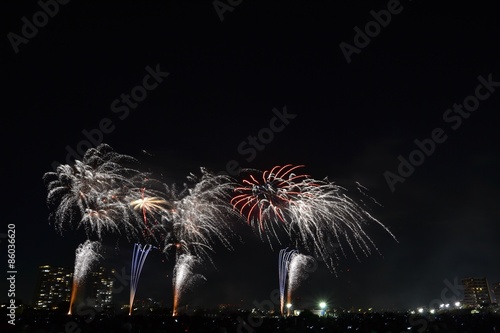 花火の祭典(東京都大田区) photo