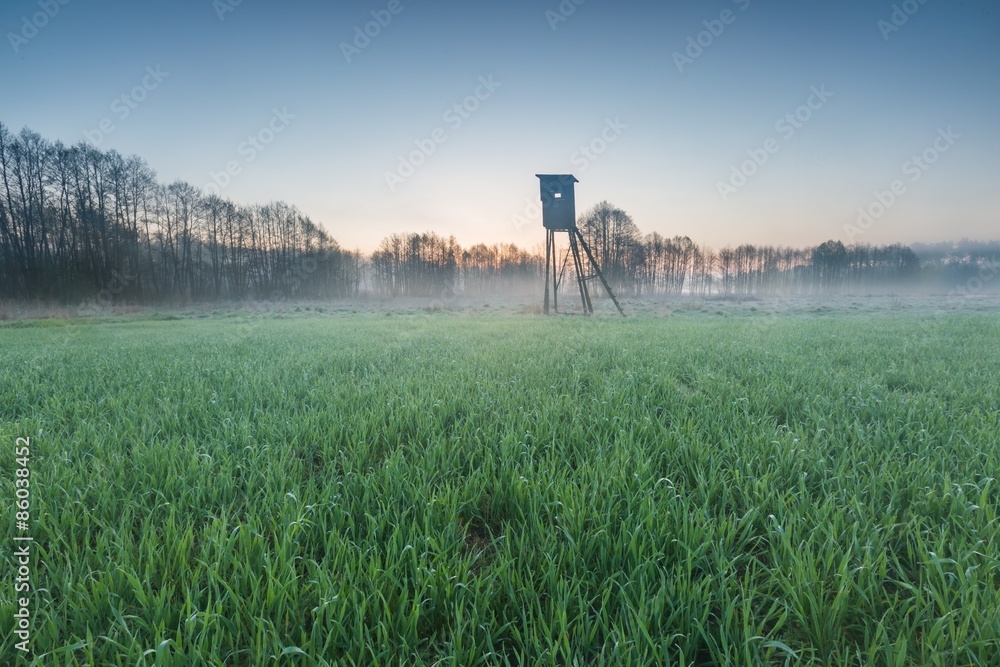 Landscape of field with raised hide