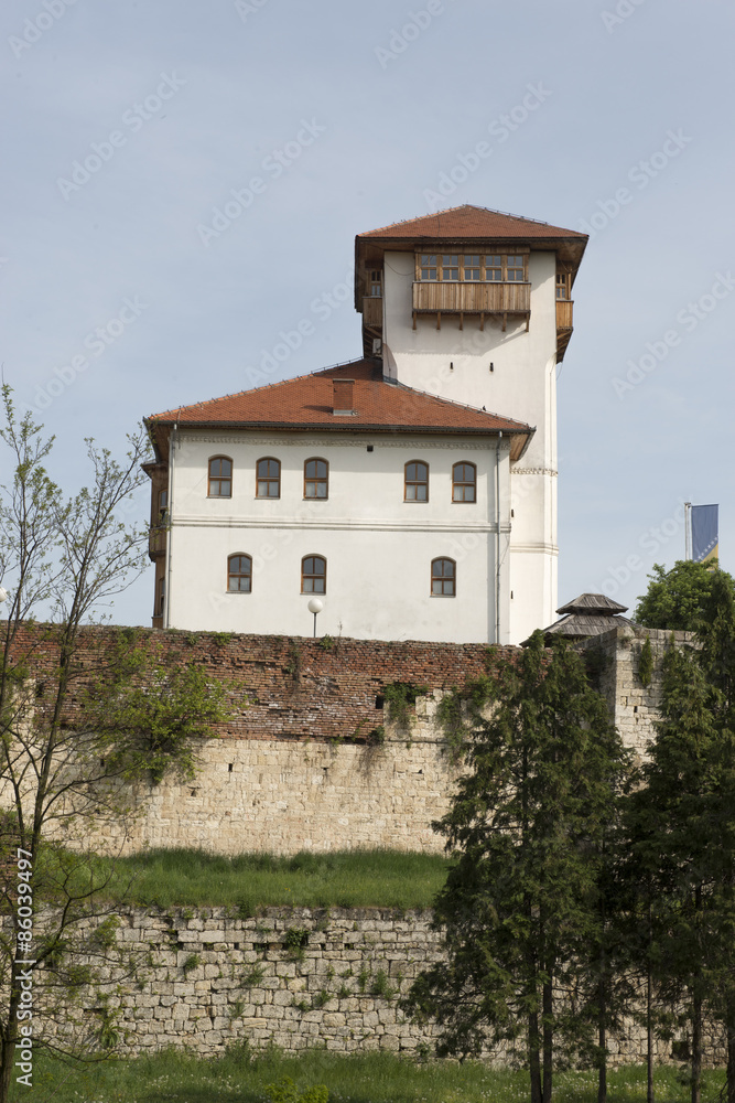 Tower Dragon of Bosnia