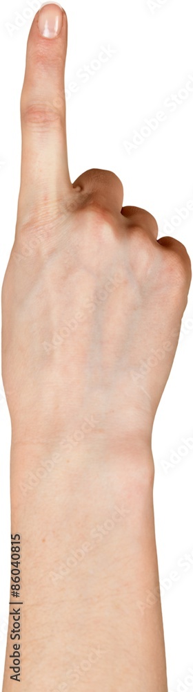 Fototapeta premium Human Hand, Human Finger, Pointing.