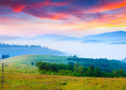 Sunny summer morning in the foggy Carpathian mountains © Andrew Mayovskyy