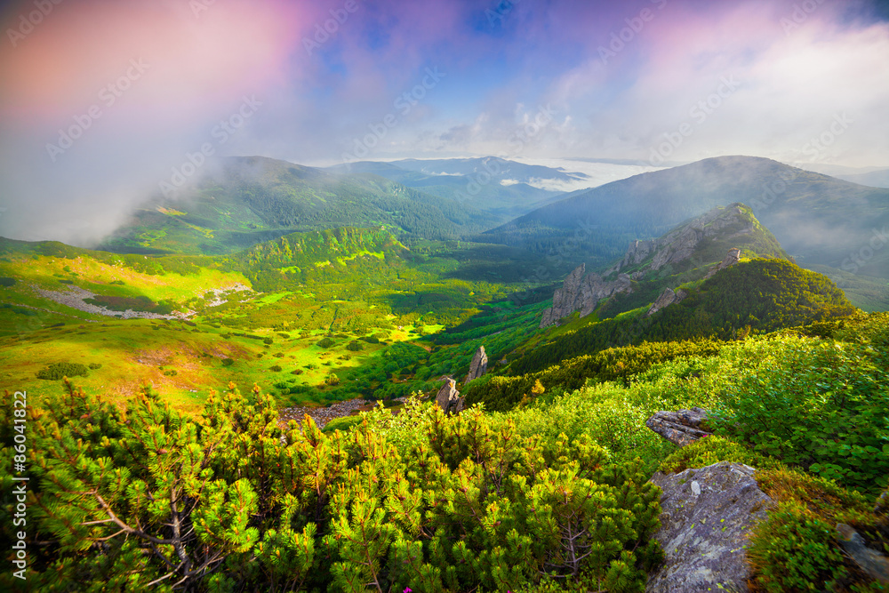 Colorful summer sunrise in the foggy Carpathian mountains.