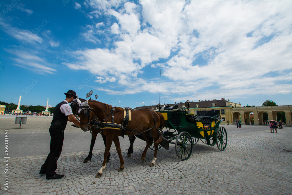 Horses with a carriage at the park of the castle of Sissi in Austria - Vienna