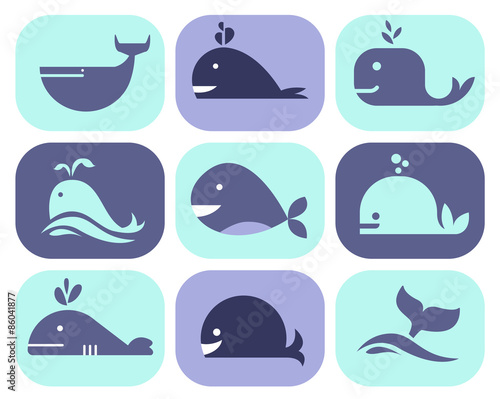 Collection of Vector Whale Icons