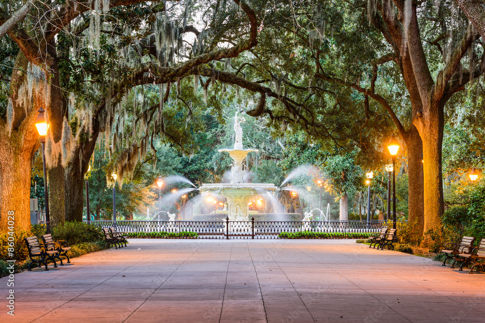 Fototapeta premium Forsyth Park