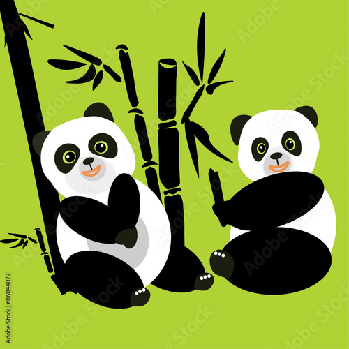 Fototapeta Naklejka Na Ścianę i Meble -  Two pandas sit in the woods and eat bamboo