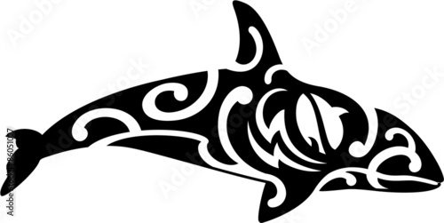 Maori grampus