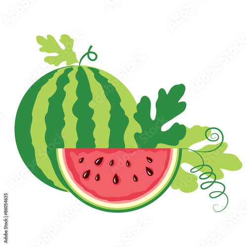 watermelon on white background.
