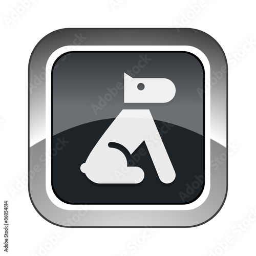 App Button