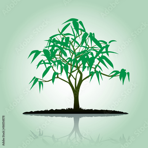 Geen Tree and Shadow