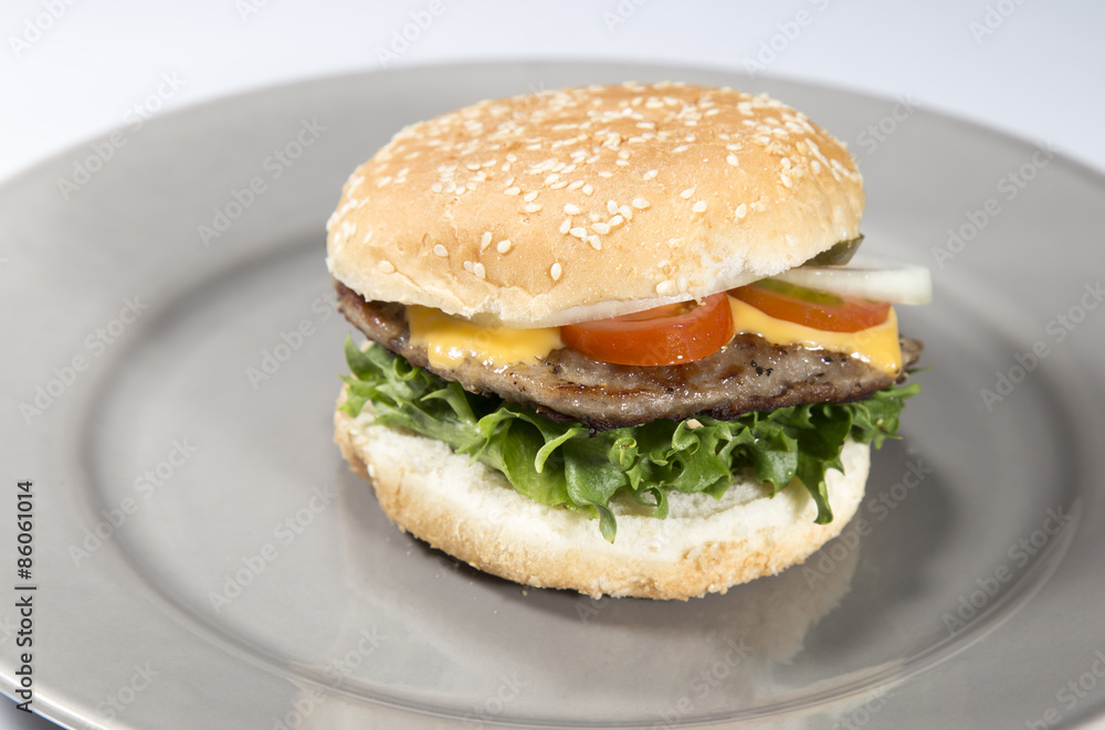 Hamburger on Plate Hamburger on Plate