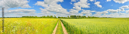 Fotografie, Tablou Panorama of a country road and summer fields