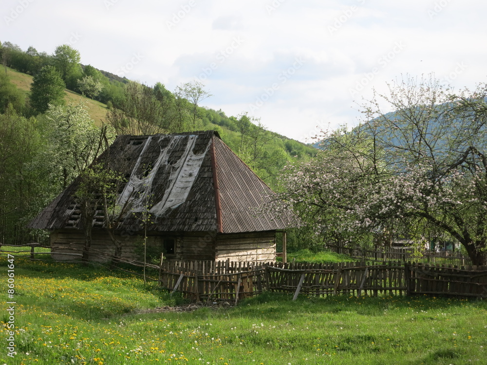 Старый деревенский дом Старый деревенский дом