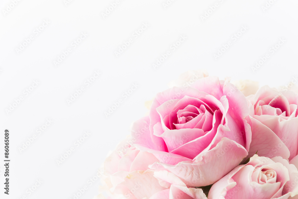 Naklejka premium white and pink rose bouquet on white background
