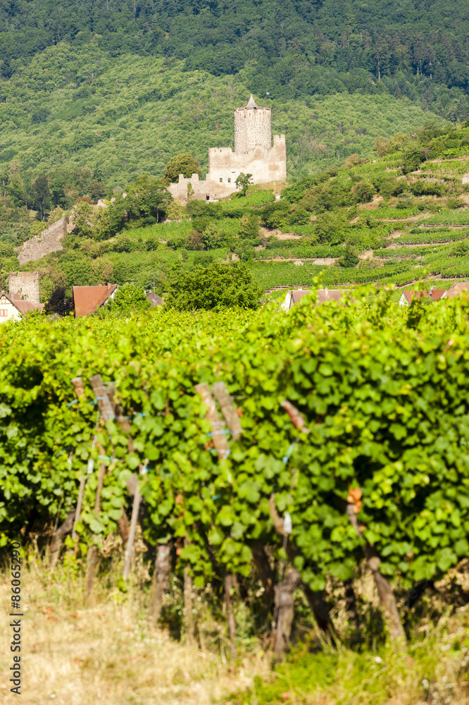 castle Kaysersberg with vineyard, Alsace, France
