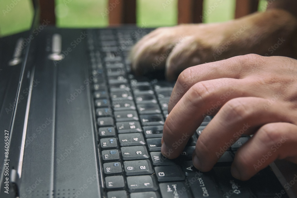 Man and his dog surfing internet together Man and his dog surfing internet together