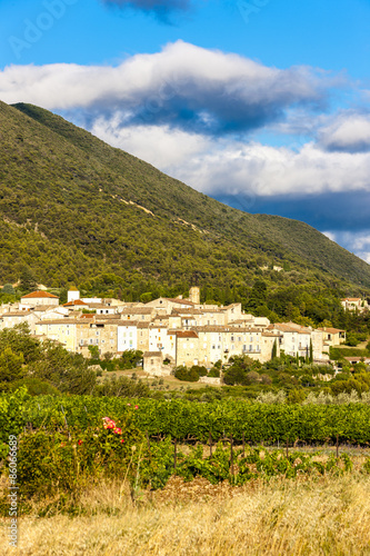 village Venterol with vineyard, Rhone-Alpes, France