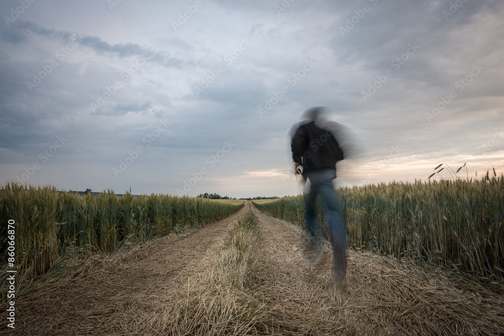 Der Weg im Kornfeld, ein Abendlauf