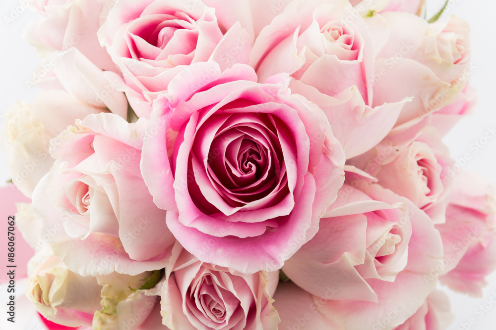 white and pink rose bouquet on white background white and pink rose bouquet on white background