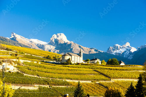 vineyards below church at Conthey, Sion region, canton Valais, S photo