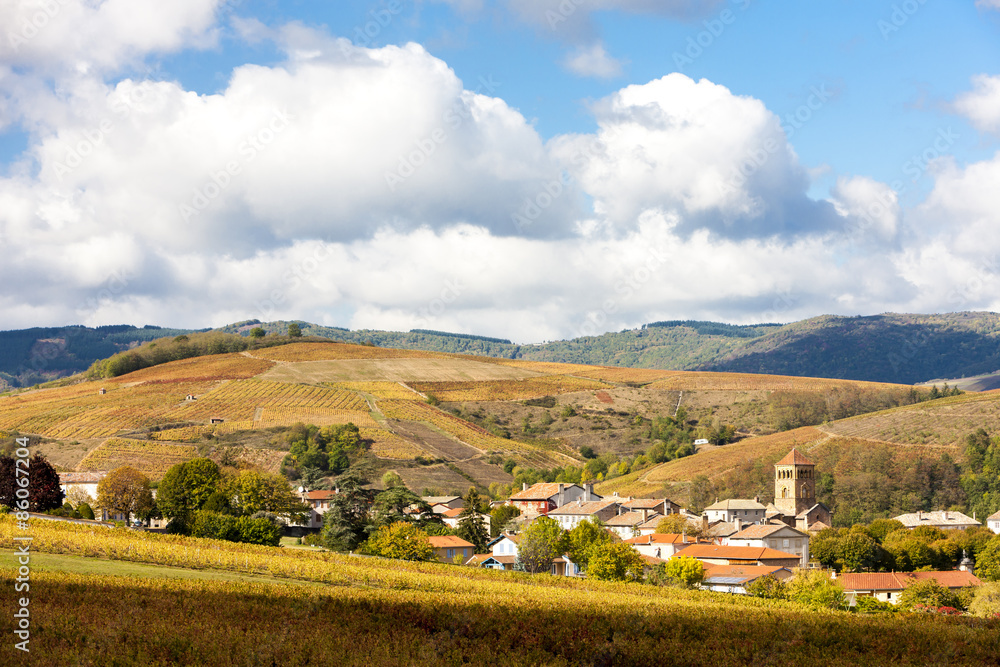 village Salles-Arbuissonnas-en-Beaujolais with vineyard, Rhone-A