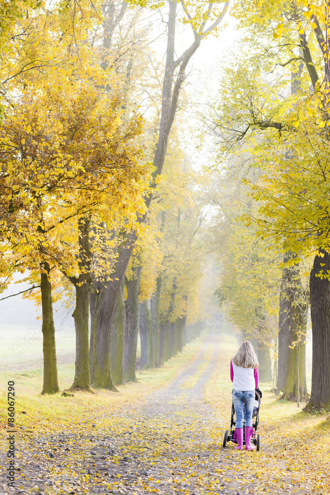 Fototapeta premium woman with a pram on walk in autumnal alley