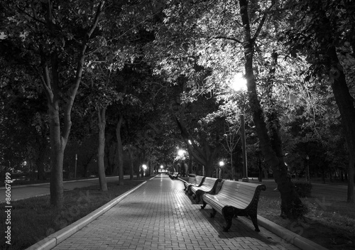 Night Park black white