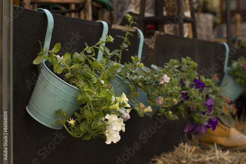 Fototapeta Naklejka Na Ścianę i Meble -  Bucket with flowers at the street