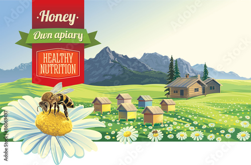 Mountain landscape with a bee and apiary, village in background