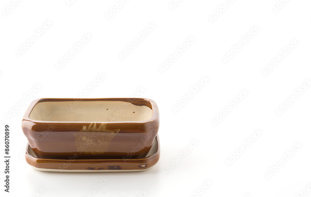 small potted isolated on white background small potted isolated on white background