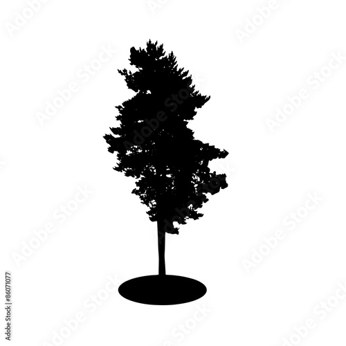 Tree Silhouette Isolated on White Backgorund. Vector