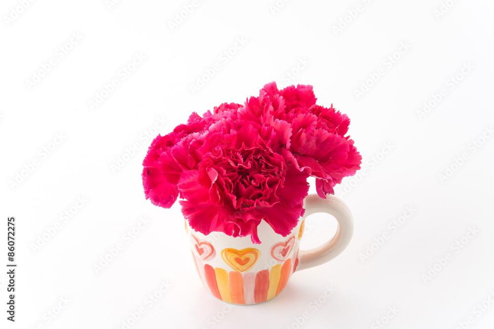 Obraz premium red carnations flower