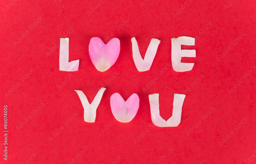 pink and white rose petal on red background pink and white rose petal on red background