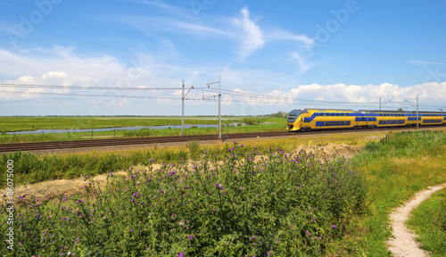 Electric train driving through nature in summer