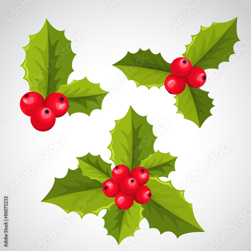 Christmas holly decorations
