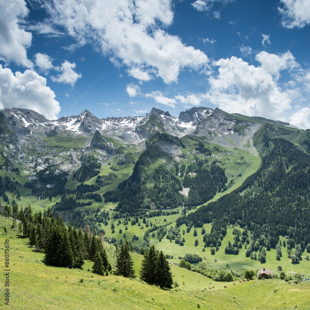 alpine landscape in la clusaz in France