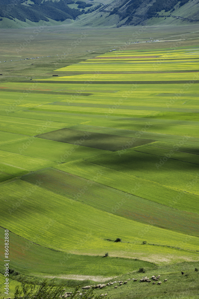 Obraz premium val d'orcia