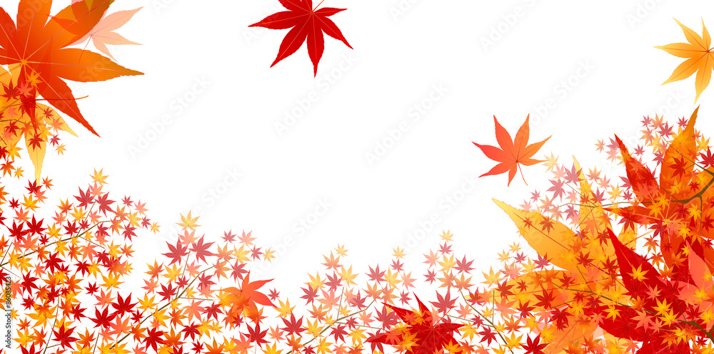 もみじ 紅葉 背景 もみじ 紅葉 背景