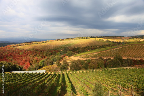 Toscana,Grosseto,il paese di Campagnatico.