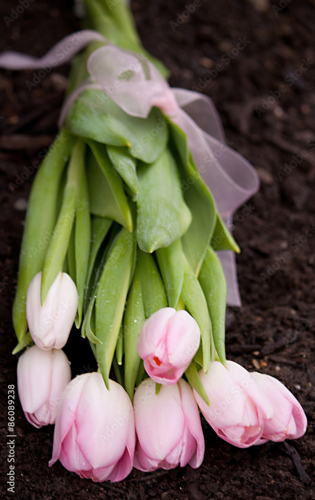 Fototapeta premium Pink tulip bouquet 