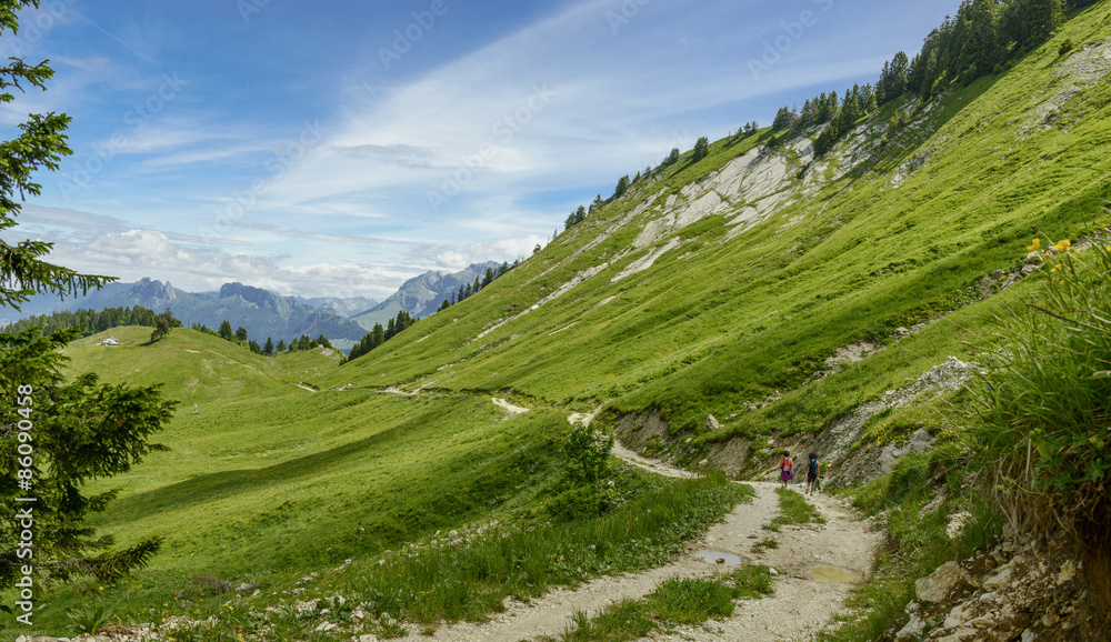 Naklejka premium Two women hikers walking in the mountains