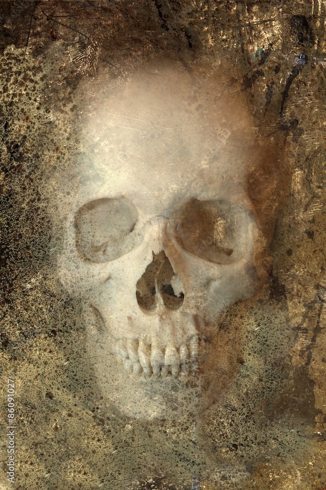 Naklejka premium Grinning Skull Embedded in Rock