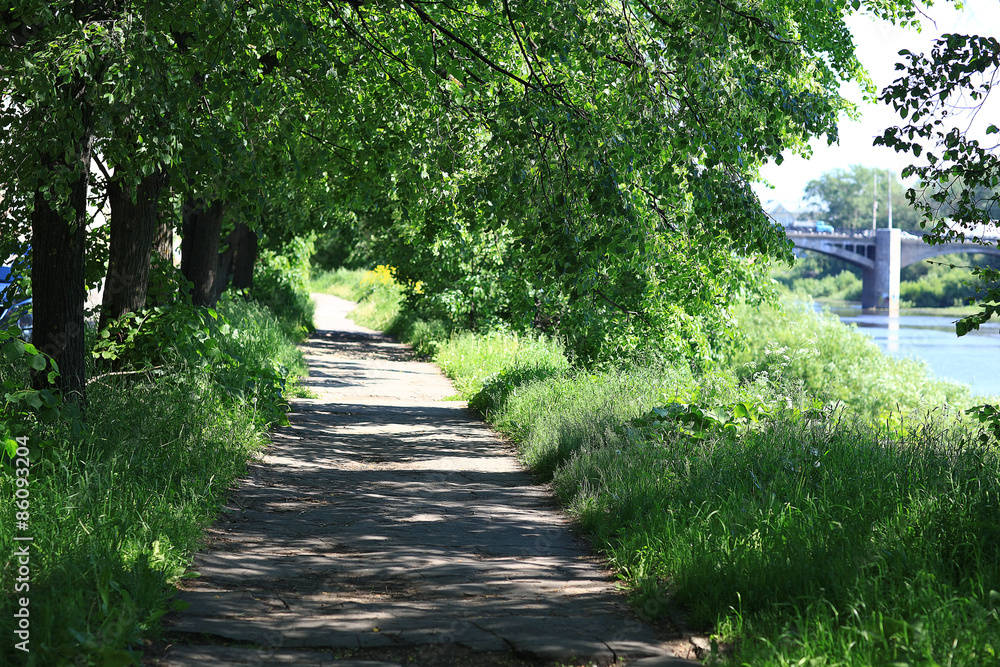 Fototapeta premium Summer in the city park landscape