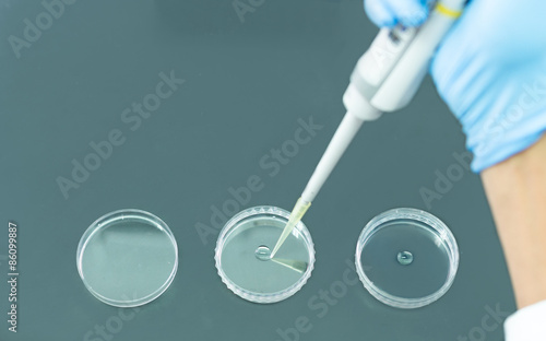 Researcher Pipetting liquid on a Petri Dish photo