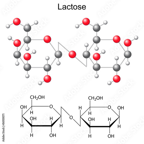 Chemical formula and model of  lactose molecule